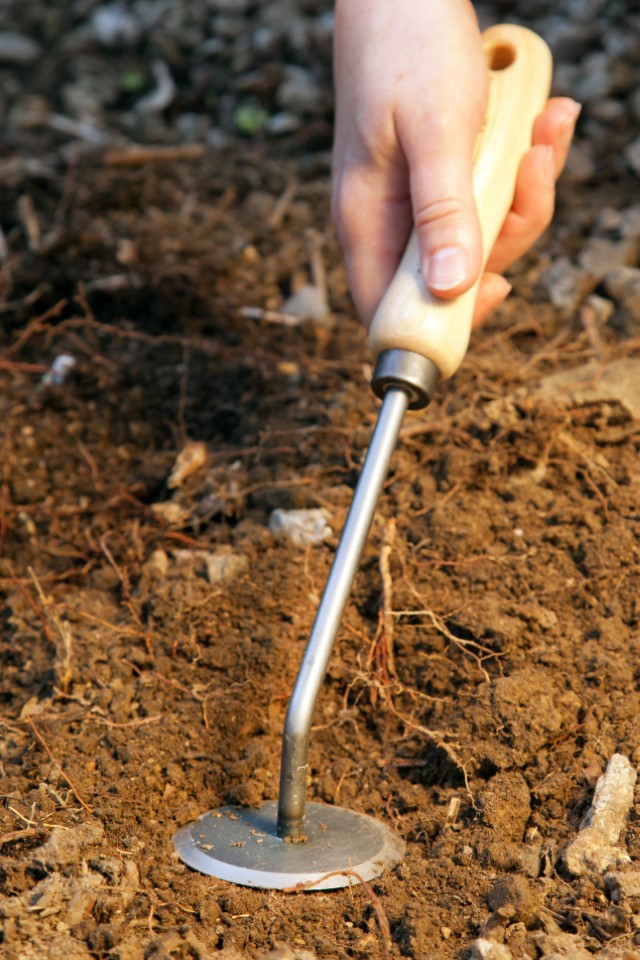 Krumpholz Gartendisk (Unkrautmesser) mit Eschengriff