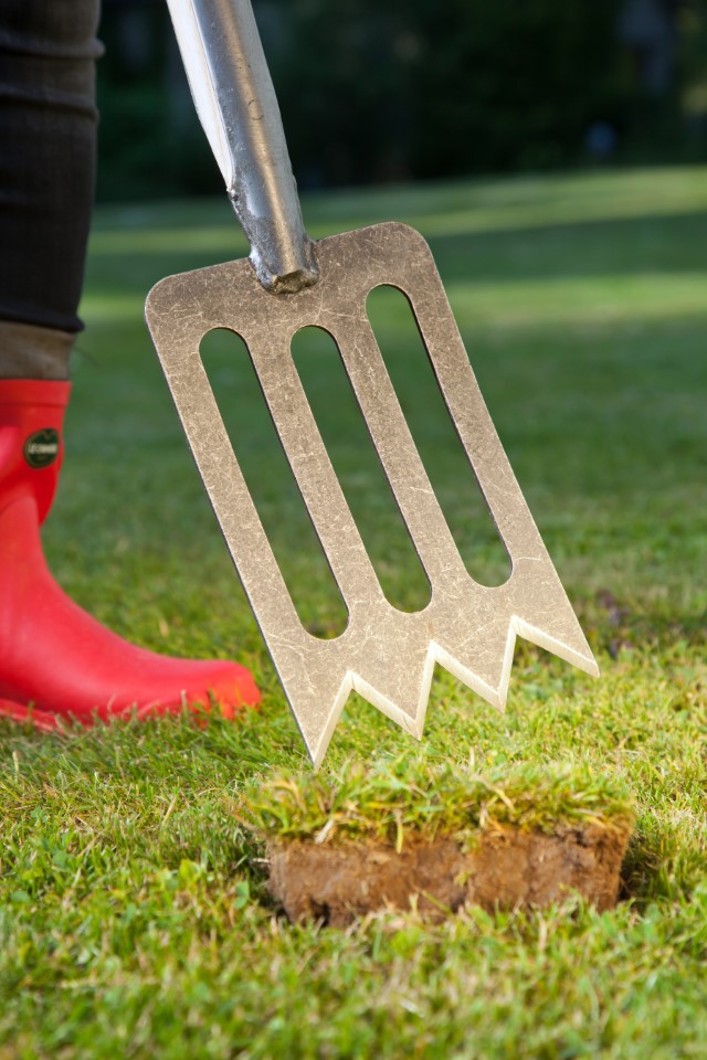 Krumpholz Gärtner - SPORK mit 90 cm Eschen-T-Stiel