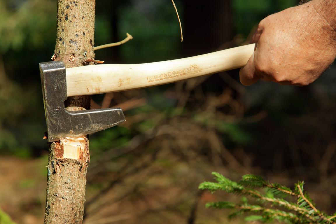 Krumpholz, Jägerbeil mit Hickory-Kuhfuß-Stiel und mit Lederschutz