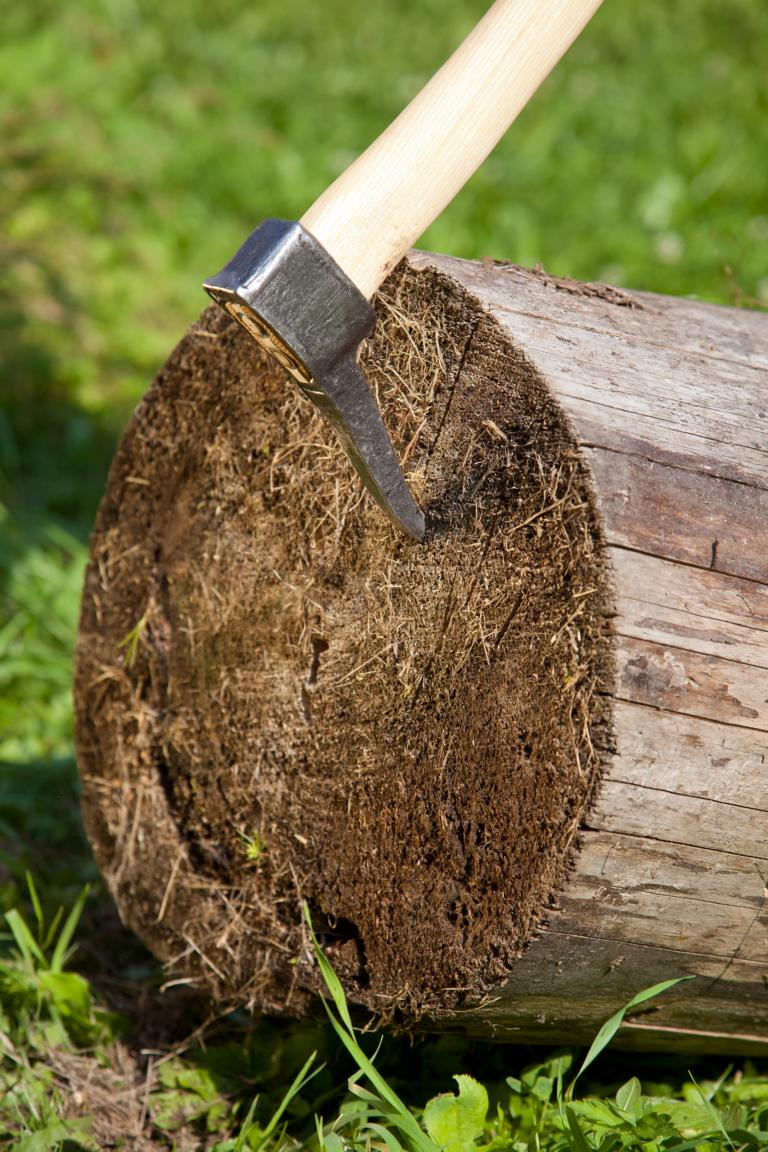 Krumpholz EURO-Sappie 0,95 kg, farblos lackiert mit gef. Eschenstiel, 90 cm
